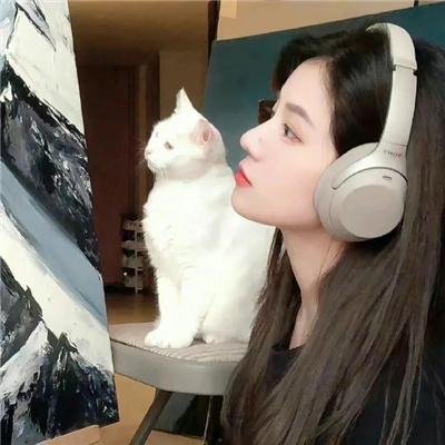 珍布 海报